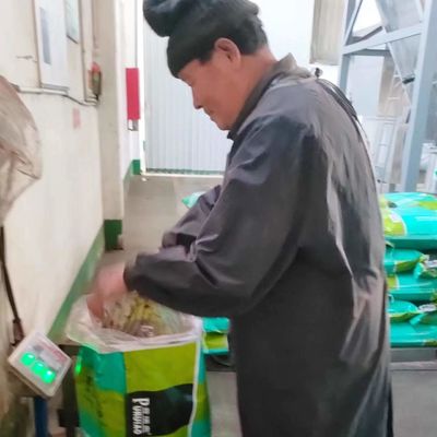 polvo sano de la harina de sangre de los aditivos alimenticios de perro de la alimentación de las aves de corral 30kg