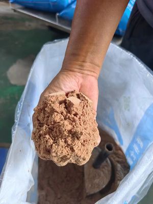 Bolsas para mejorar la alimentación de los caballos