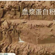 Fabricantes Duck Plasma Protein Powder secado a presión de aire, tecnología de proceso avanzada, Hig inmediato de los añadidos de la alimentación de las aves de corral